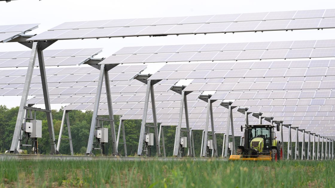 Agri-Photovoltaikanlage der Steinicke Haus der Hochlandgewürze GmbH